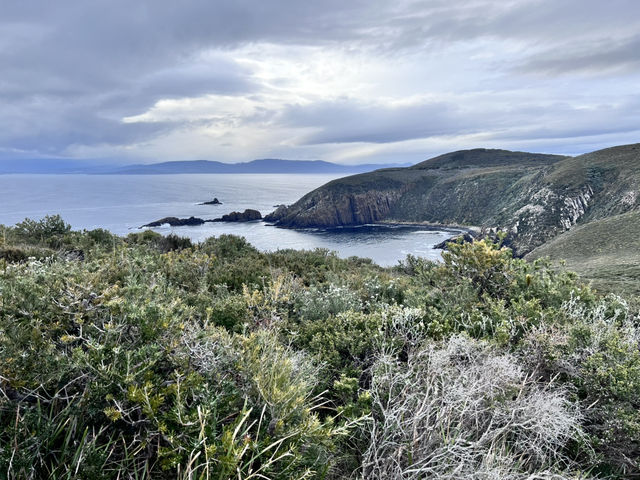 Bruny Island – เกาะเล็กๆ ที่เต็มไปด้วยความทรงจำ