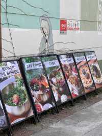 【韓国/慶州】現地の人がオススメするランチ