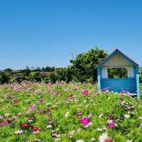 A Refreshing and Affordable Stop on Your Udo Circuit