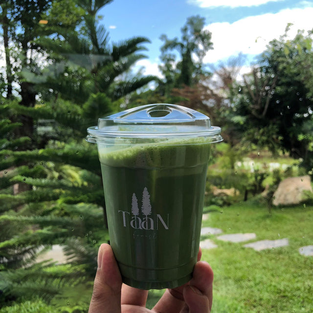 คาเฟ่สุดชิค มัทฉะดีมาก
