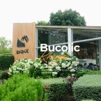 🌳 Bucolic Cafe เขาใหญ่ – คาเฟ่แนวธรรมชาติ