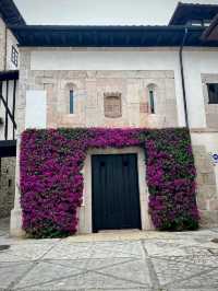 Beachy Buzz and Coastal Charm in Llanes