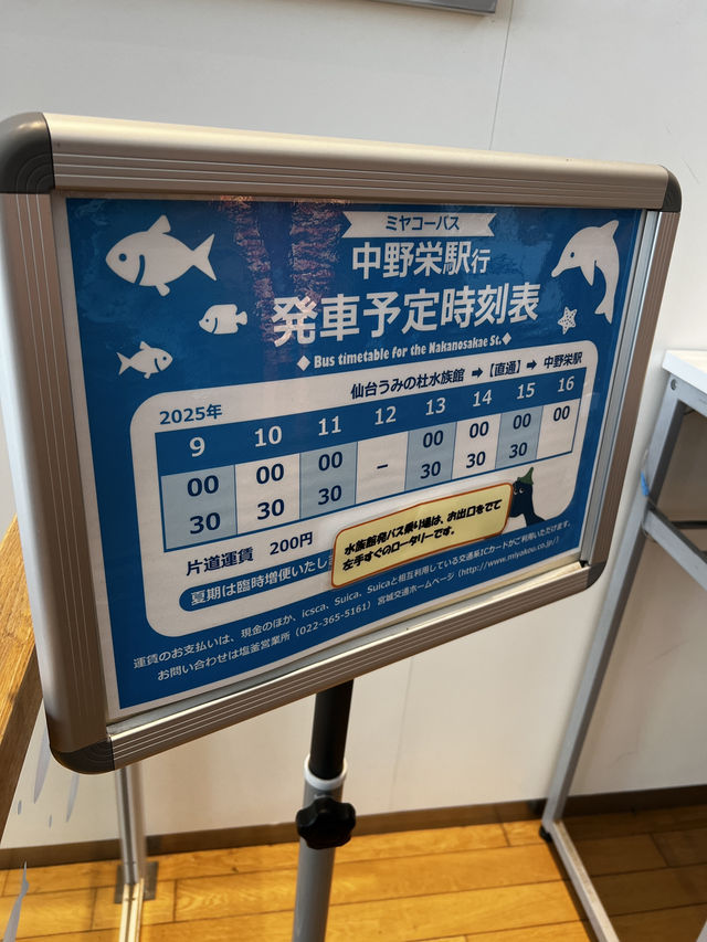 東北の海と生命の魅力が詰まった仙台うみの杜水族館へ行くべき五つの理由🇯🇵✈️🌏