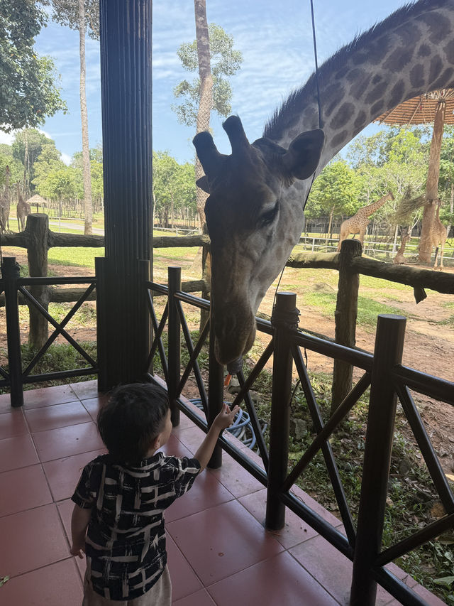 富國島-珍珠樂園+動物園
