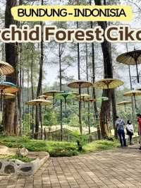 Orchid Forest Cikole