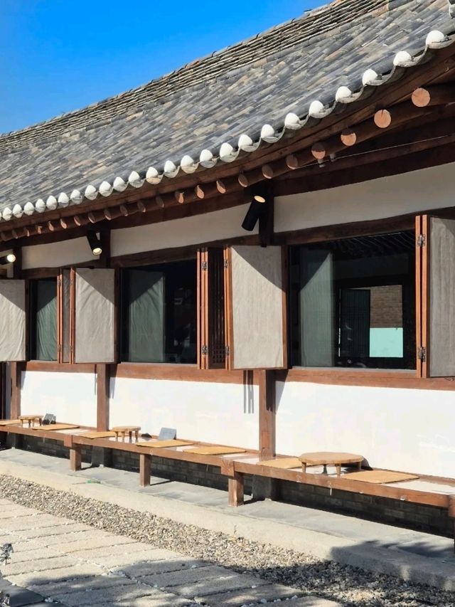 반려견과 함께 여유로운 시간🩷강릉 목과원카페