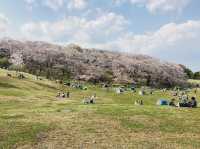 Negishi Forest Park in Yokohama