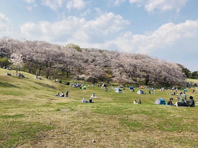 Negishi Forest Park in Yokohama