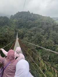 Hearts Race at Rengganis Suspension Bridge
