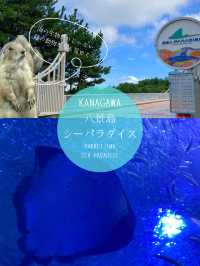 夏は涼やかな水族館へ🐬また行きたくなる水族館！
