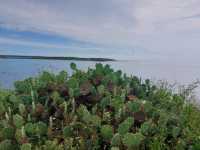 澎湖跨海大橋｜夏日限定的絕美畫卷