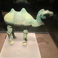 🏛 Gansu Provincial Museum — A Silk Road Time Capsule