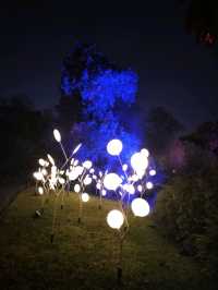🎆Lightscape Part 1🎆