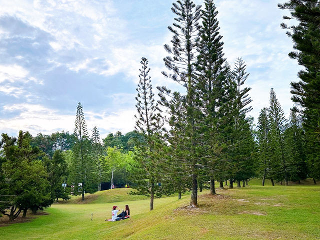 Morning Briskwalk at Taman Saujana Hijau Morning Briskwalk at Taman Saujana Hijau