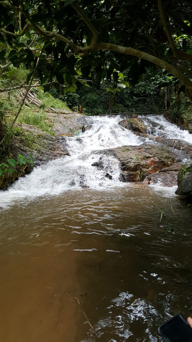 🌿 Mae Kampong: A Hidden Gem in Chiang Mai’s Misty Mountains