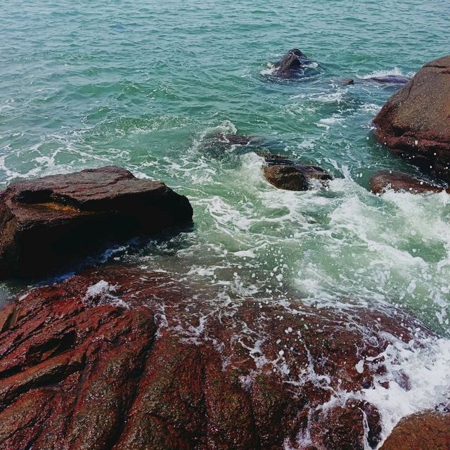 Seaside Serenity🌊