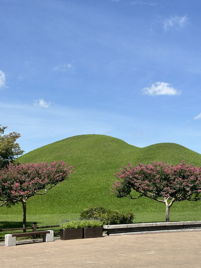여름 경주 꼭 가야할 핫스팟 🌺🩷