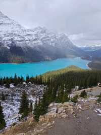 peyto lake