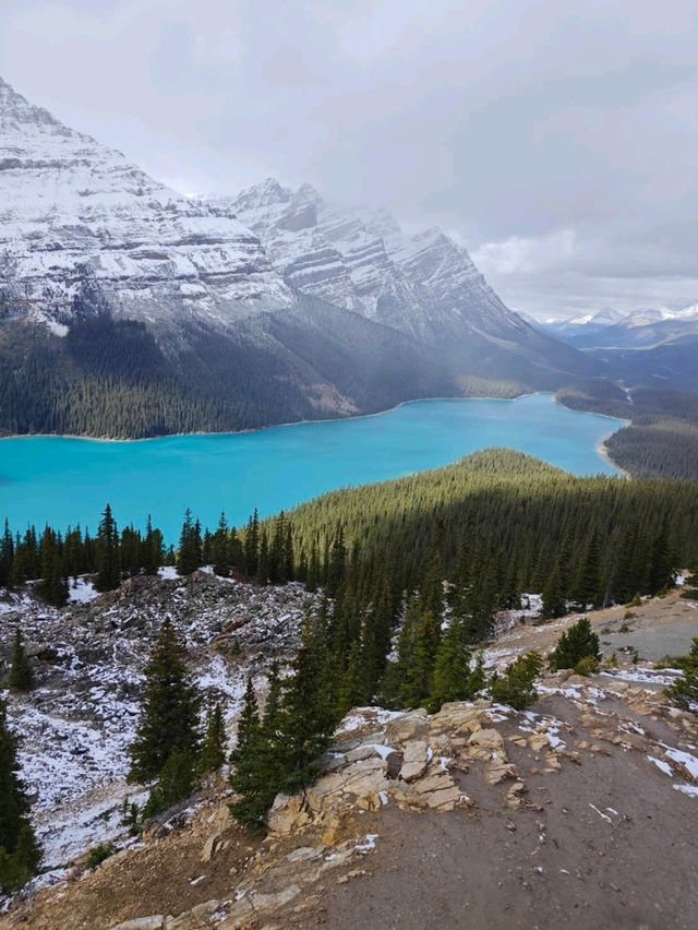 peyto lake