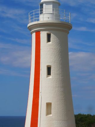 [Tasmania｜Một bức thư dài gửi đến vùng hoang dã và ánh sáng cùng bóng tối từ Nam bán cầu]