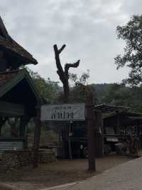 🌿✨ บ้านป่าเหมี้ยง หมู่บ้านเล็ก ๆ ท่ามกลางขุนเขา