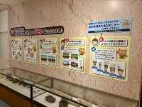 田沢湖駅 森と遺跡の展示室🚉🌿 站內發現考古驚喜！
