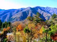 紅葉の秩父を満喫1泊2日