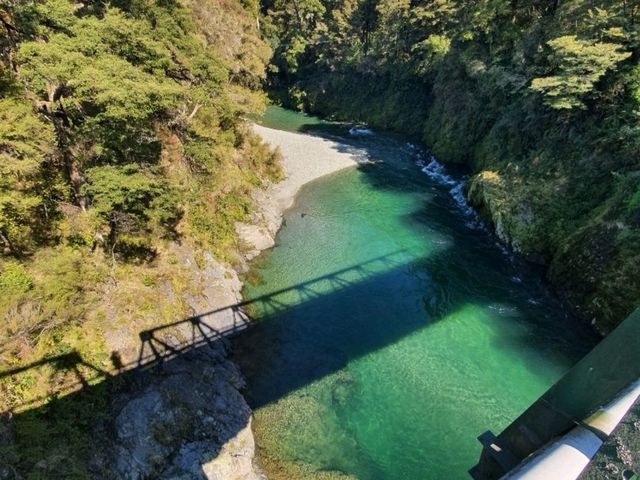 Pelorus Bridge NZ