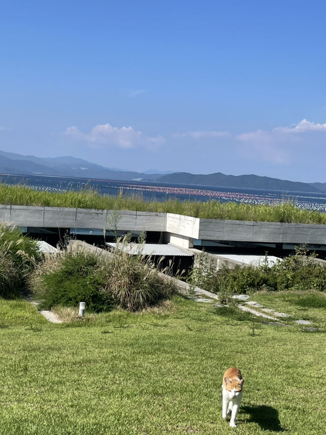 【巨済島 거제도】 おすすめホテル  숙소추천❣️