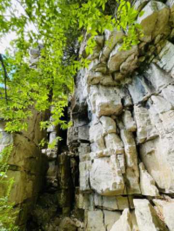 Rattlesnake Point Conservation Area – Clifftop Views and Rugged Trails