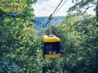 Castles, Caves & Canopies: My Solo Trip to Sigulda