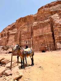 A Timeless Wonder Carved into the Rose Red Cliffs