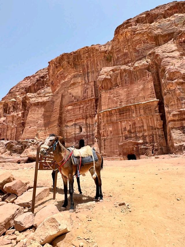 A Timeless Wonder Carved into the Rose Red Cliffs
