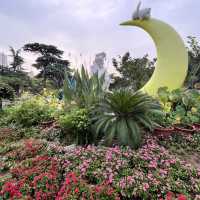 🌿 Zijing Mountain Park — Zhengzhou’s Peaceful Parkland with a Feathered Twist