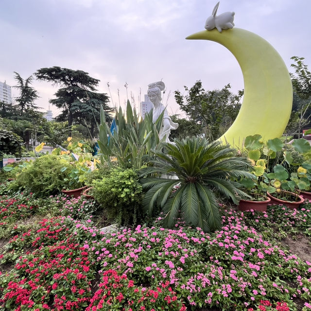 🌿 Zijing Mountain Park — Zhengzhou’s Peaceful Parkland with a Feathered Twist