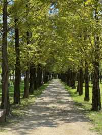 🌿 쉼과 여유가 있는 수원 망포 글빛누리공원 🌳