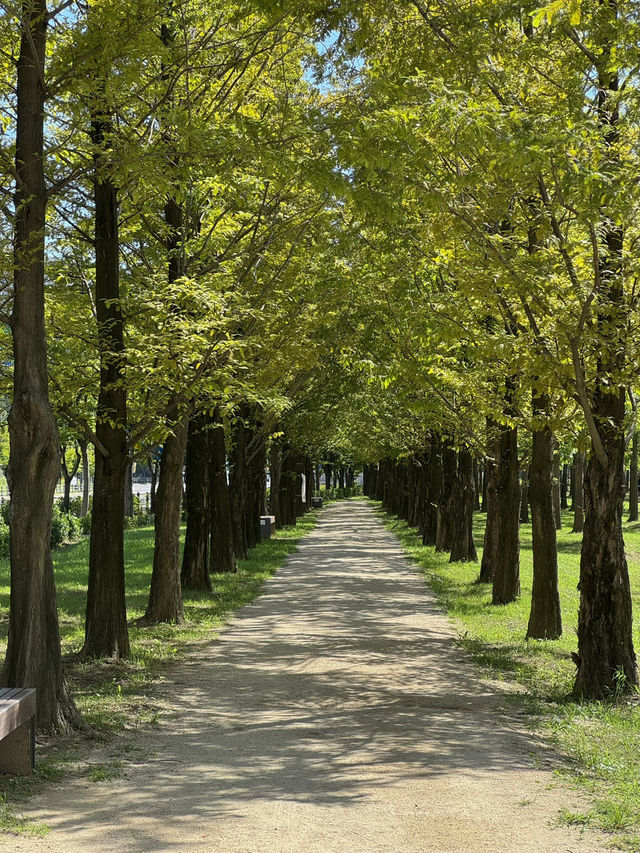🌿 쉼과 여유가 있는 수원 망포 글빛누리공원 🌳