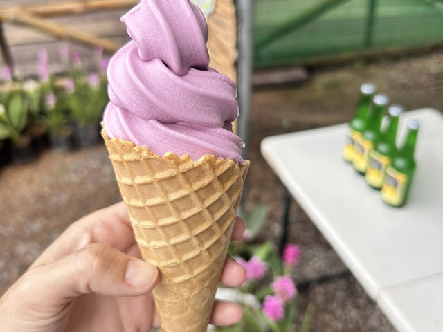 หมอกสวยๆ ที่ป่าหินงาม