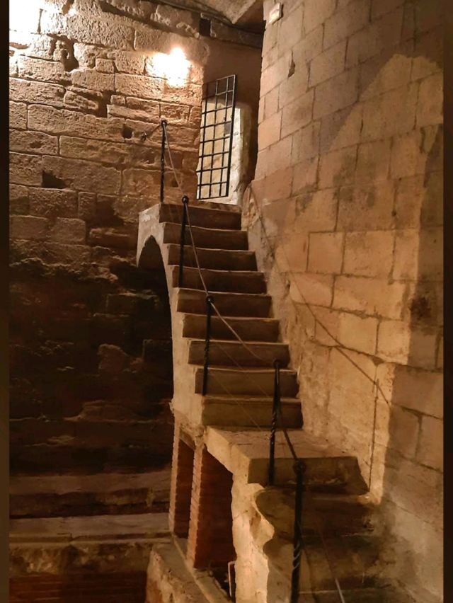 如果你去萊里達旅行必去打卡📸