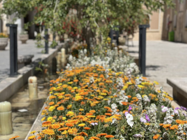 🌟 Sarv Restaurant – Near the Fire Temple, Yazd 