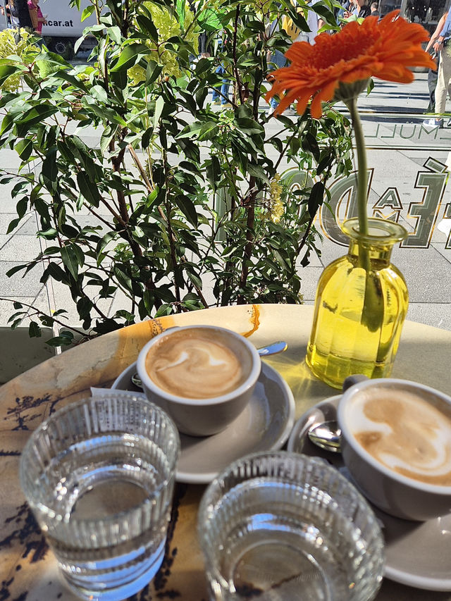 ☕ 비엔나의 낭만, 카페 돔 🌿