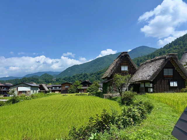 Shirakawa-Go ซัมเมอร์ เขียวๆฟ้าๆ 🇯🇵🌿✨