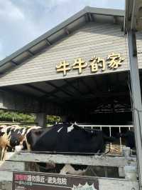 雲林｜千巧谷牛樂園成為親子放鬆天堂 週末不來會後悔