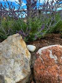 🤠 Flying W Ranch – Cowboy Spirit & Western Fun