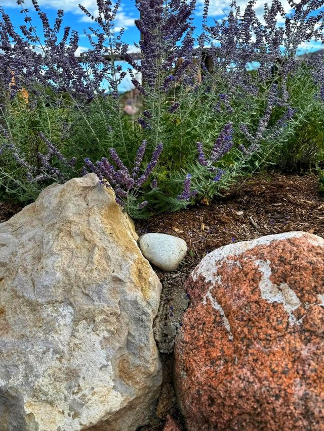 🤠 Flying W Ranch – Cowboy Spirit & Western Fun 🤠 Flying W Ranch – Cowboy Spirit & Western Fun