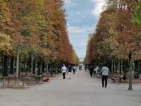 The Tuileries Garden: An Oasis in Central Paris