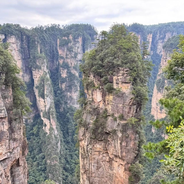 Nature’s Vertical Wonderland: My Zhangjiajie Escape