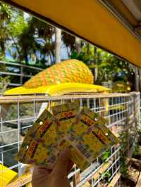 【沖縄🇯🇵】ナゴパイナップルパーク🍍💛🦖
