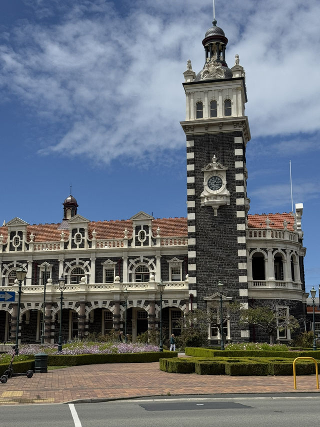【ニュージーランド・ダニーデン】世界一美しいと称される駅「ダニーデン駅」🏛️🌿 【ニュージーランド・ダニーデン】世界一美しいと称される駅「ダニーデン駅」🏛️🌿