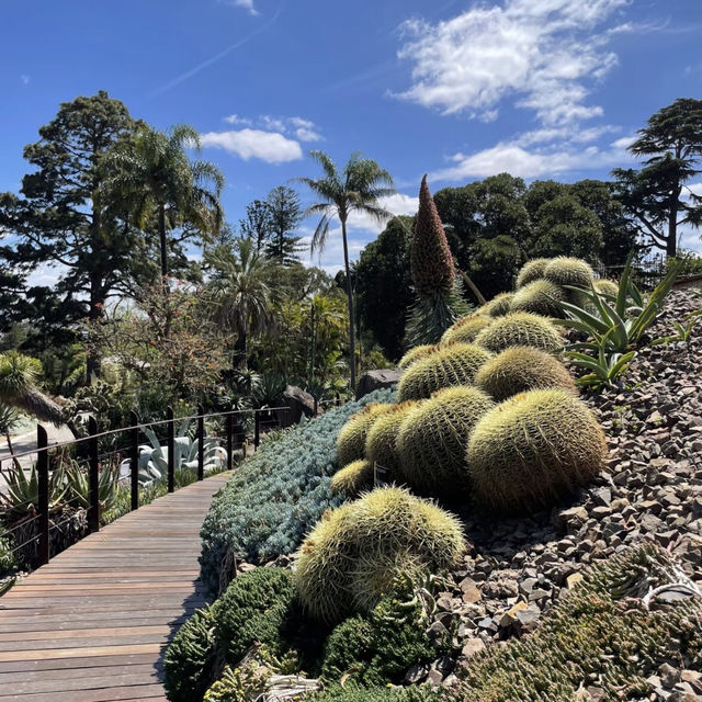 馬尼拉熱帶花園必去Chill景點🌴